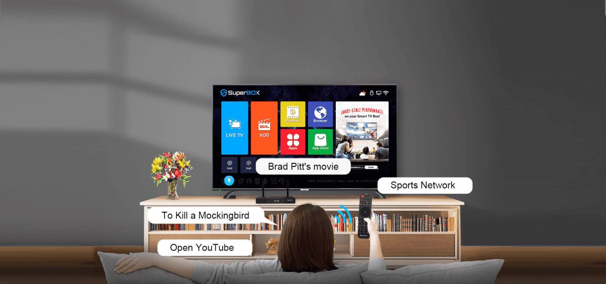 How to Turn Any of Your Regular TV into A Smart Voice Control TV Easily