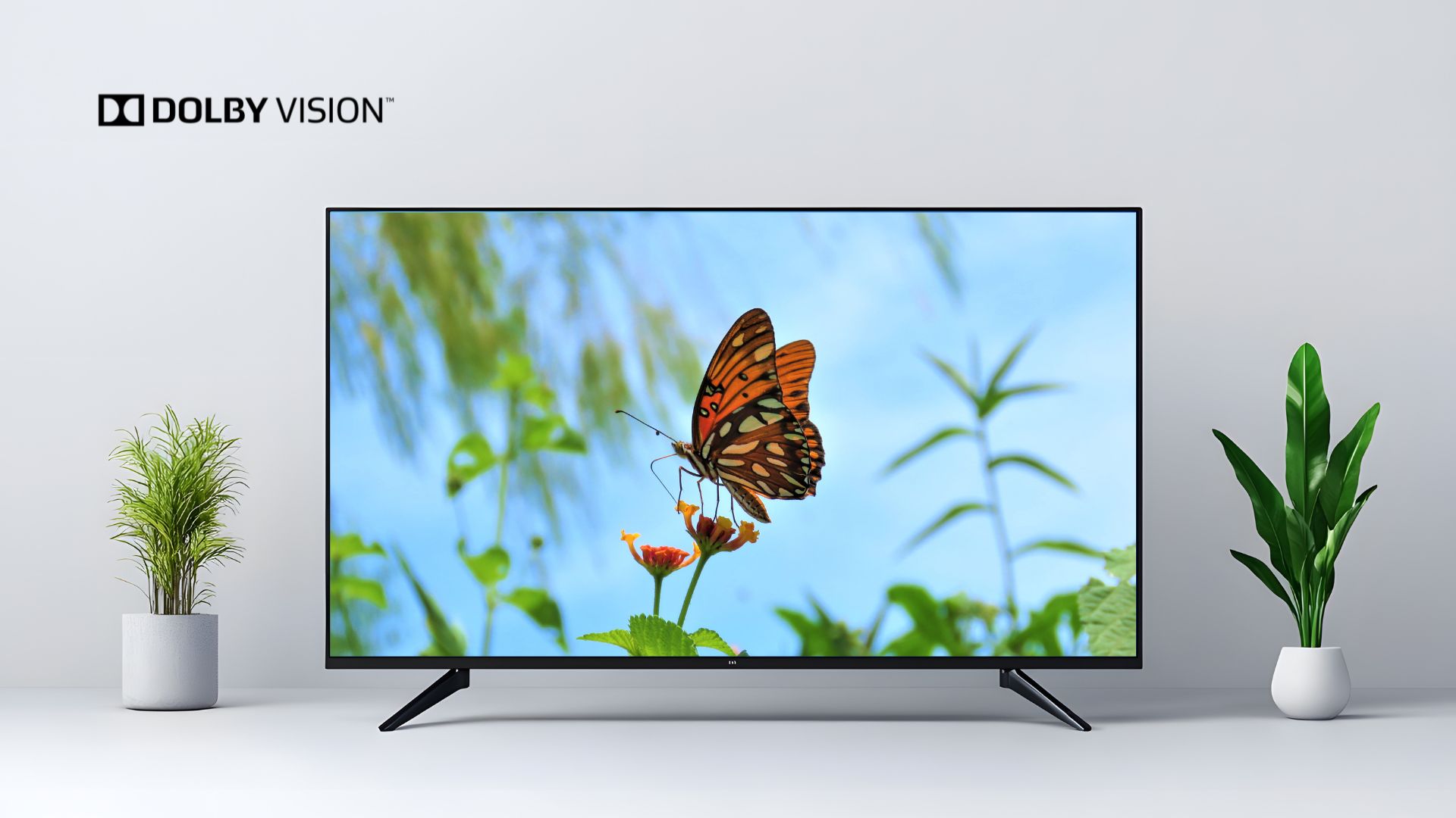 compare-SDR-HDR-and-Dolby-Vision