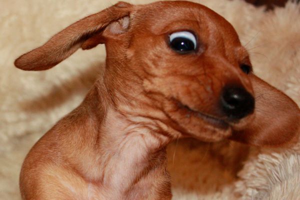 real customers feedback superbox tv box